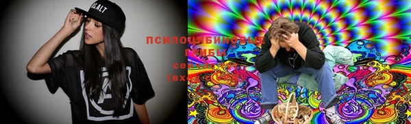 не бодяженный Арсеньев